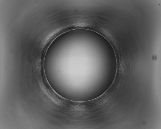 X0000112050535200908041153
