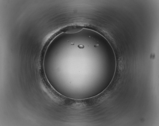 X0000112050536200908041153