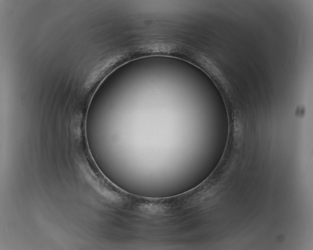 X0000112050537200908041153