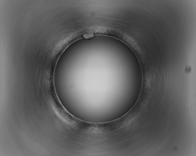 X0000112050538200908041153