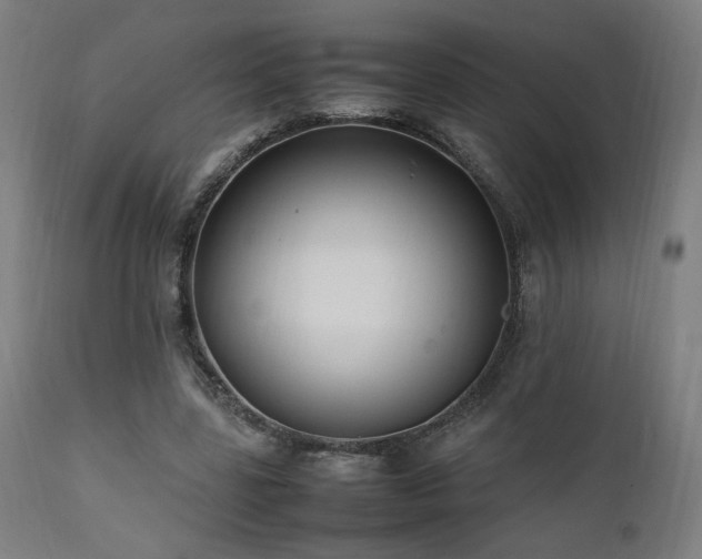 X0000112050539200908041153