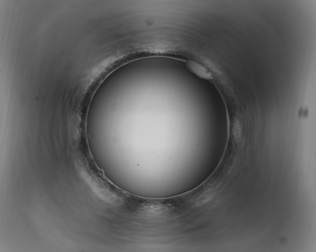 X0000112050540200908041153