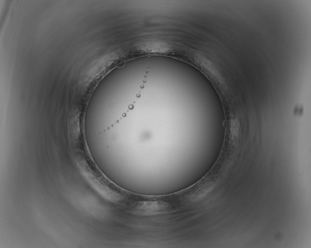 X0000112050541200908041153