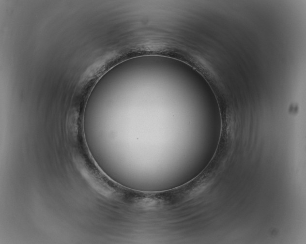 X0000112050542200908041153