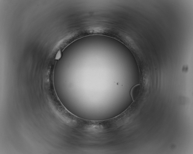 X0000112050543200908041153