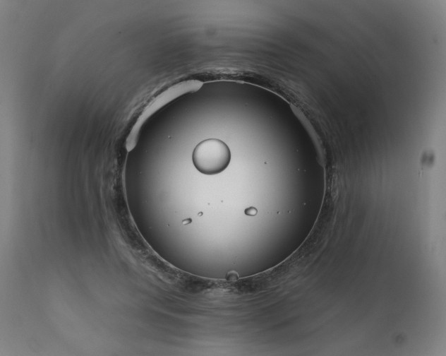 X0000112050544200908041153