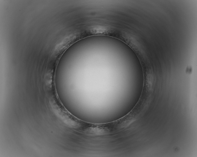 X0000112050545200908041153