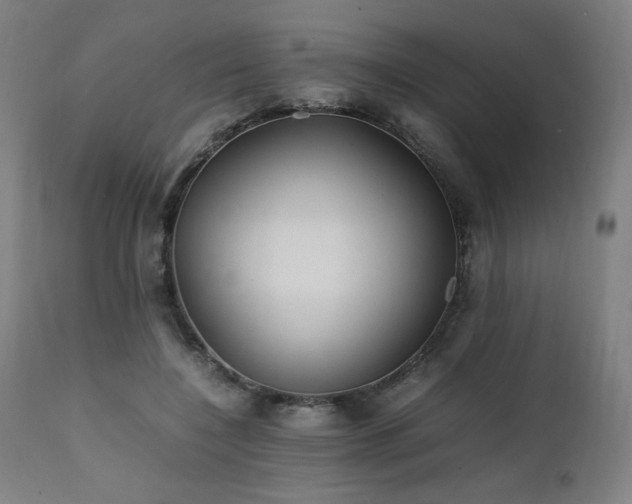 X0000112050548200908041153