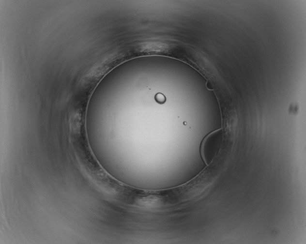 X0000112050551200908041153