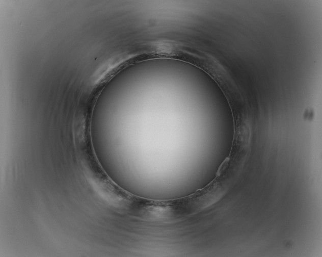 X0000112050552200908041153