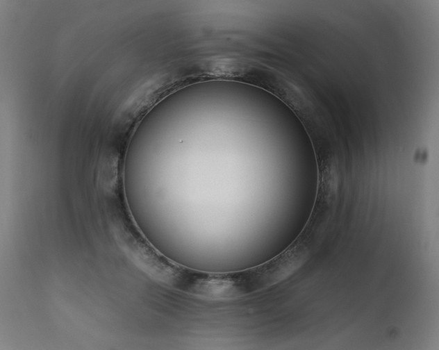 X0000112050554200908041153