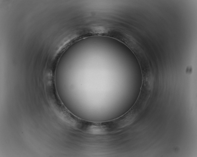 X0000112050556200908041153