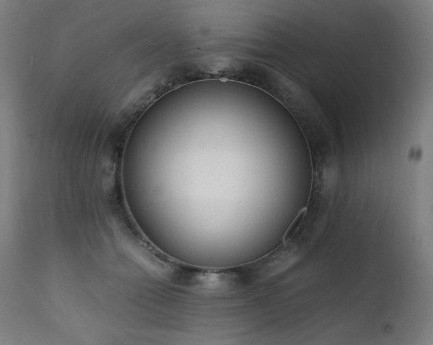 X0000112050558200908041153