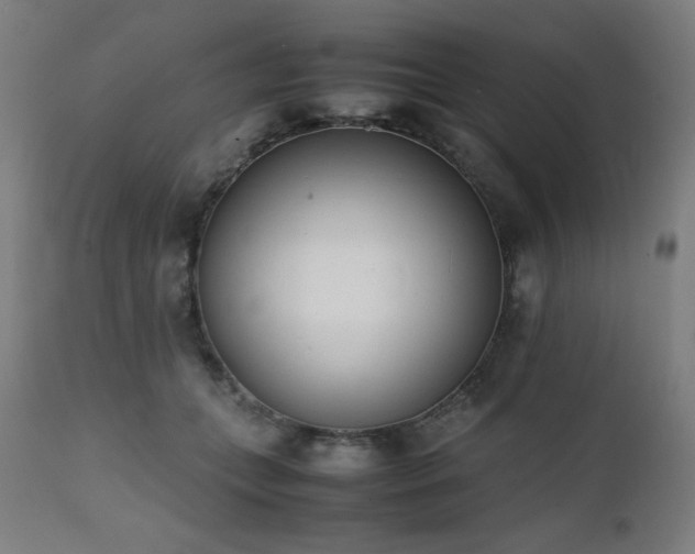 X0000112050559200908041153