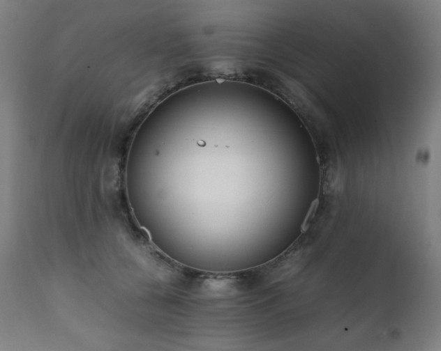 X0000112050560200908041153