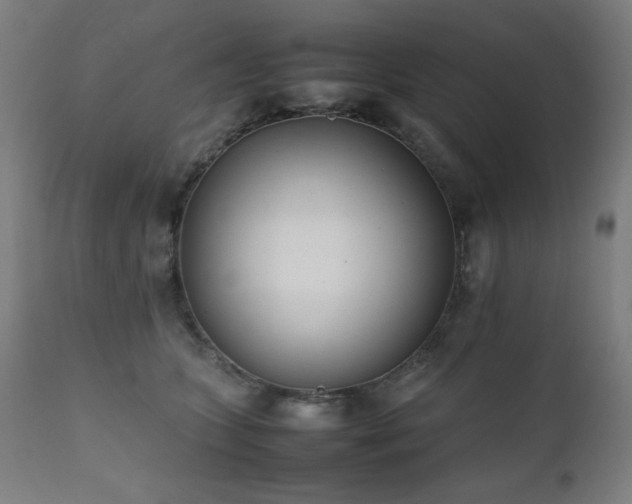 X0000112050563200908041153