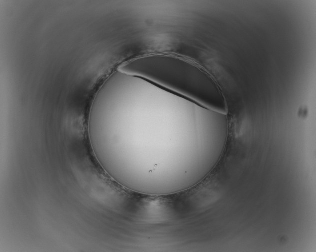 X0000112050564200908041153