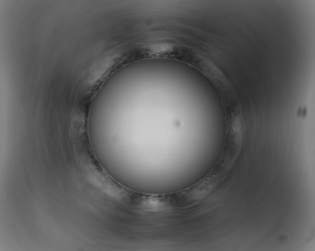 X0000112050565200908041153