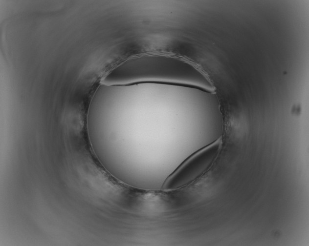 X0000112050566200908041153