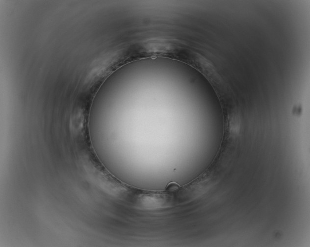 X0000112050567200908041153