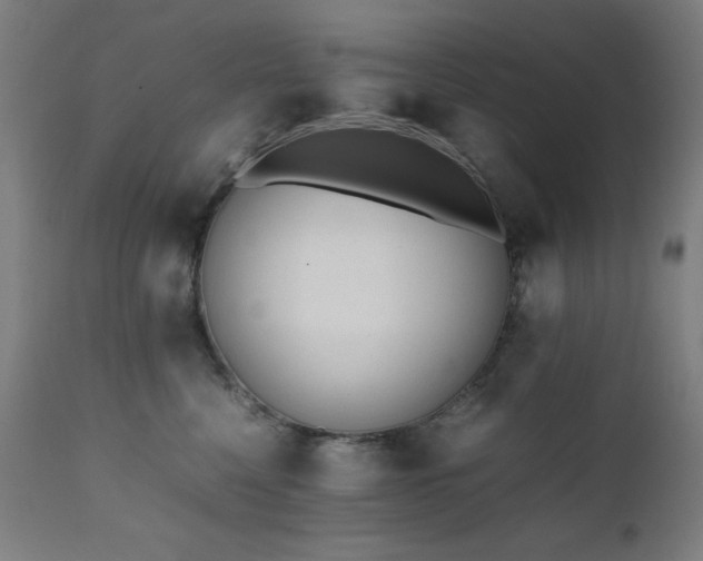 X0000112050568200908041153