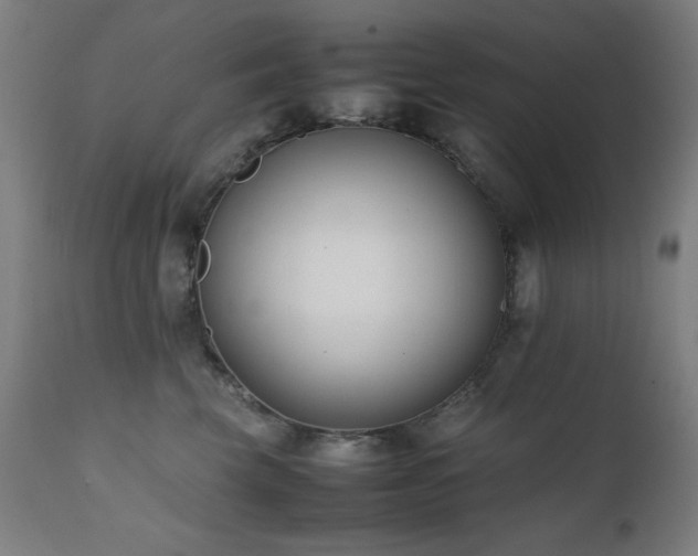 X0000112050569200908041153