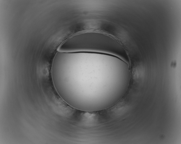 X0000112050570200908041153