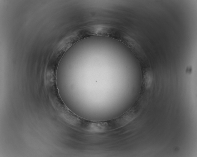 X0000112050571200908041153