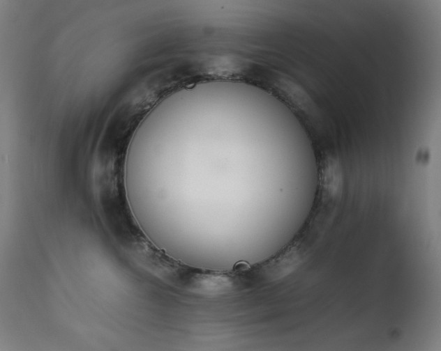 X0000112050572200908041153