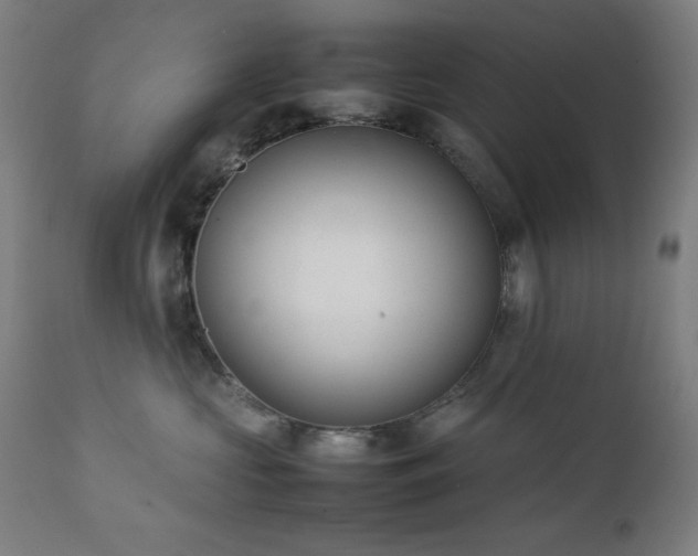 X0000112050573200908041153