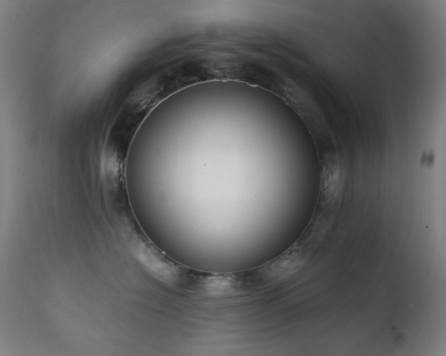 X0000112050574200908041153