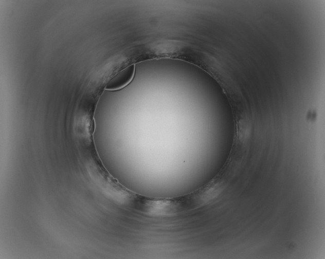 X0000112050575200908041153