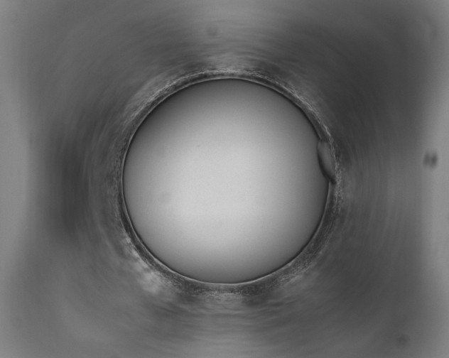 X0000112050577200908041153