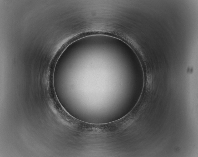 X0000112050580200908041153