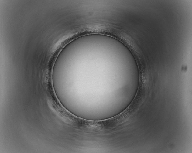X0000112050583200908041152