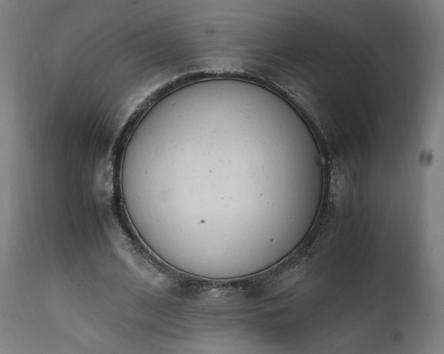X0000112050584200908041152