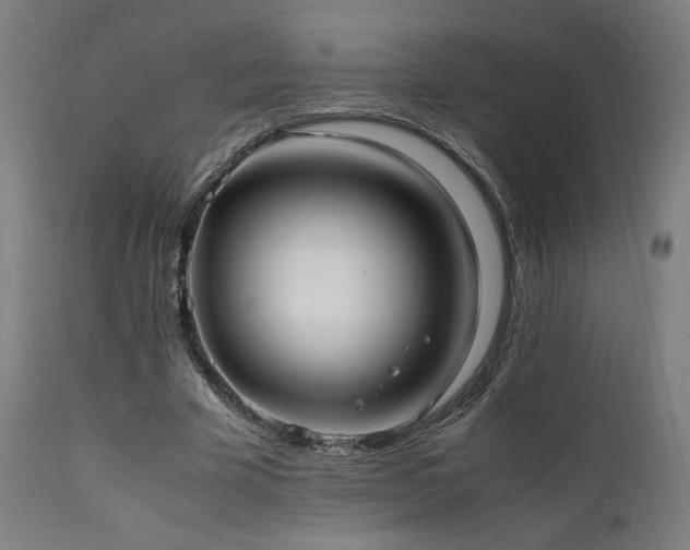 X0000112050585200908041152