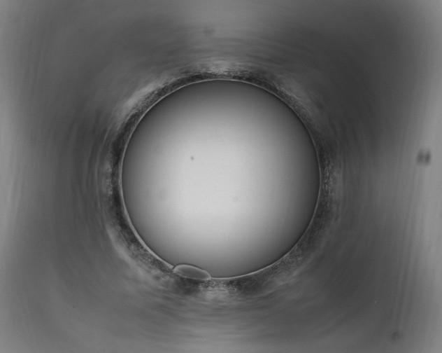 X0000112050587200908041152