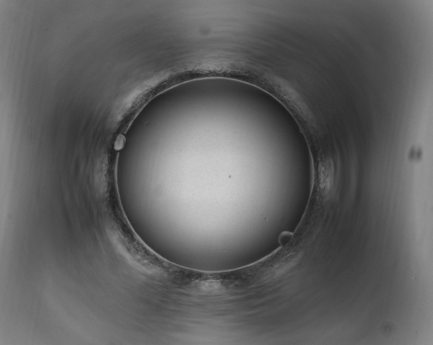 X0000112050588200908041152