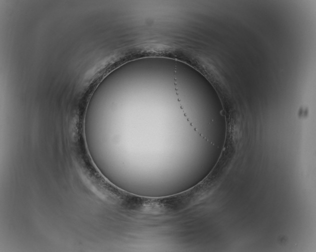 X0000112050591200908041152