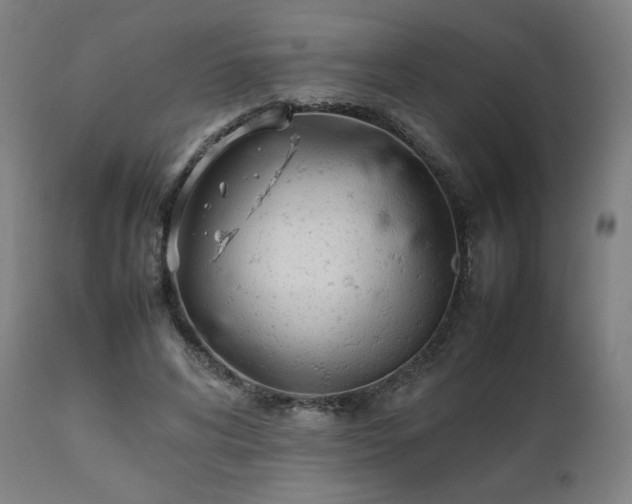 X0000112050592200908041152
