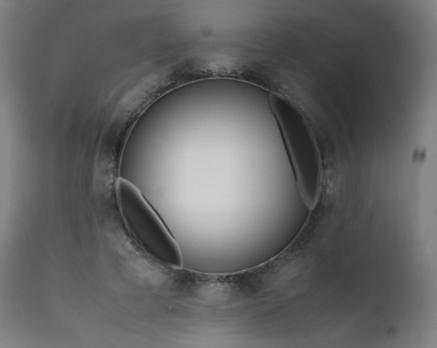 X0000112050593200908041152