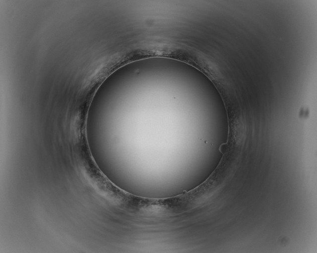 X0000112050594200908041152