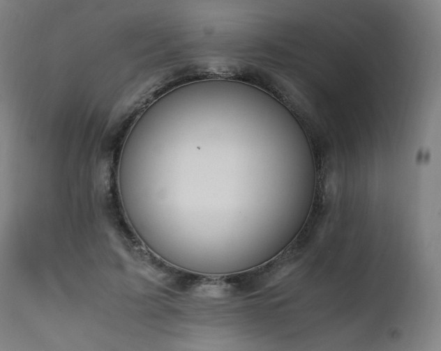 X0000112050595200908041152