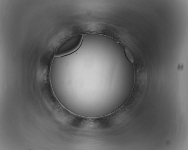 X0000112050597200908041152