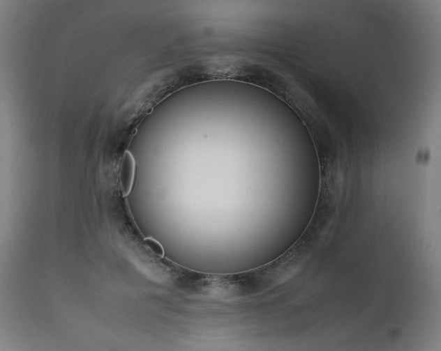 X0000112050601200908041152