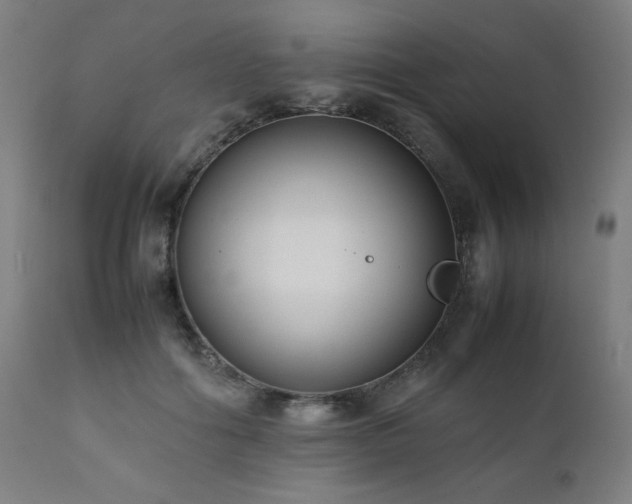 X0000112050602200908041152