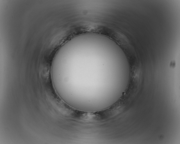 X0000112050607200908041152