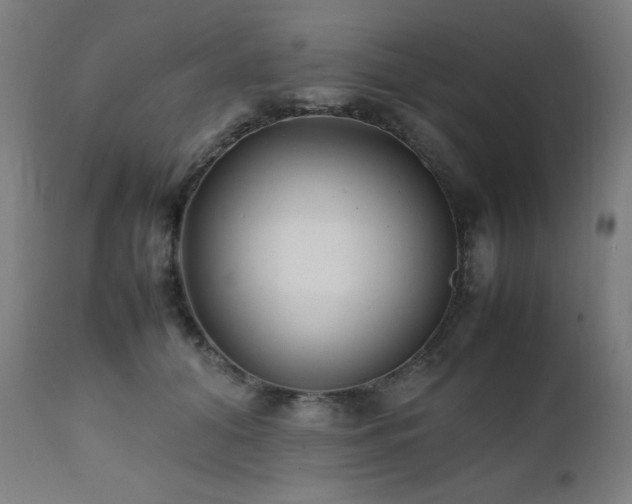X0000112050608200908041152