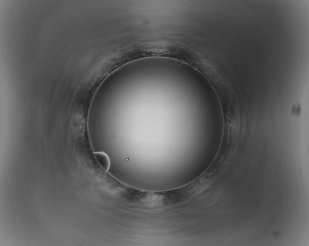 X0000112050609200908041152